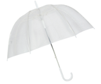 Clear Umbrella