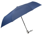 Blue Umbrella