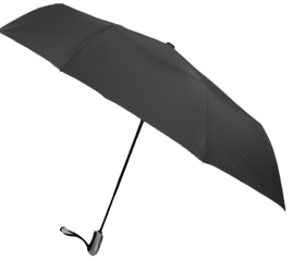 Large Black Umbrella